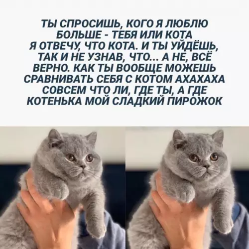 Смешная картинка №659285