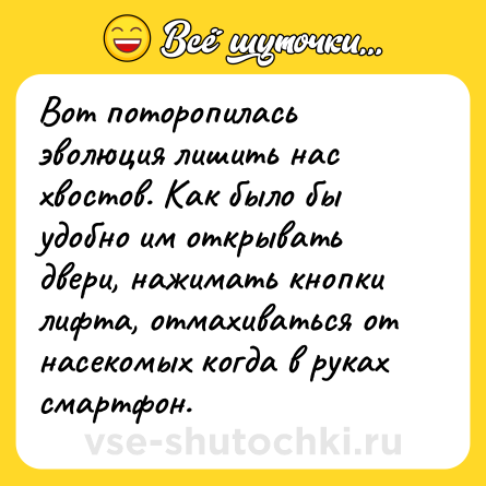 Шутка: Вот поторопилась эволюция лишить нас хвостов. Как было бы удобно им открывать двери, нажимать кнопки лифта, отмахиваться от насекомых когда в руках смартфон.
