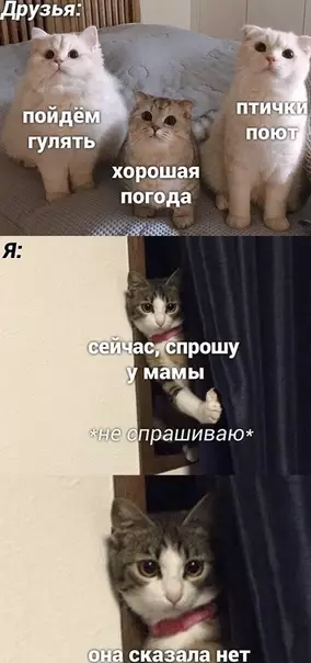 Смешная картинка №498176