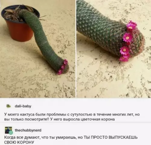 Смешная картинка №426822