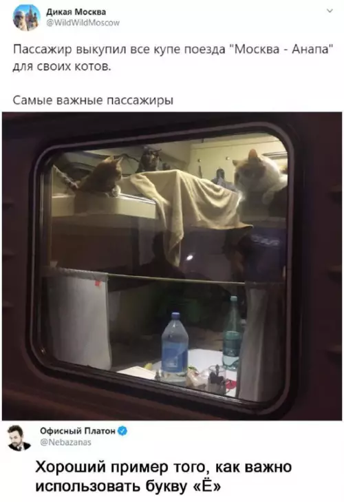 Смешная картинка №721697