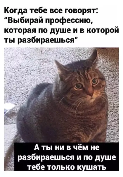 Смешная картинка №473549