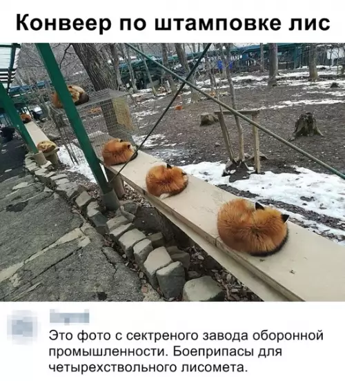 Смешная картинка №348468