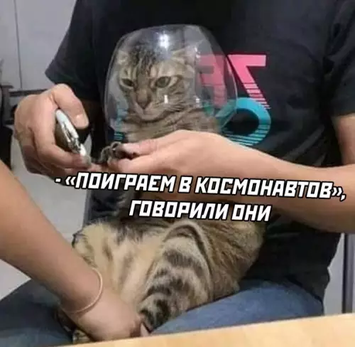 продолжение Смешная картинка №619532