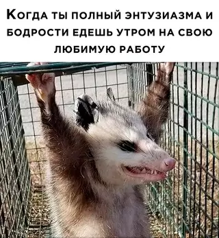 Смешная картинка №647347