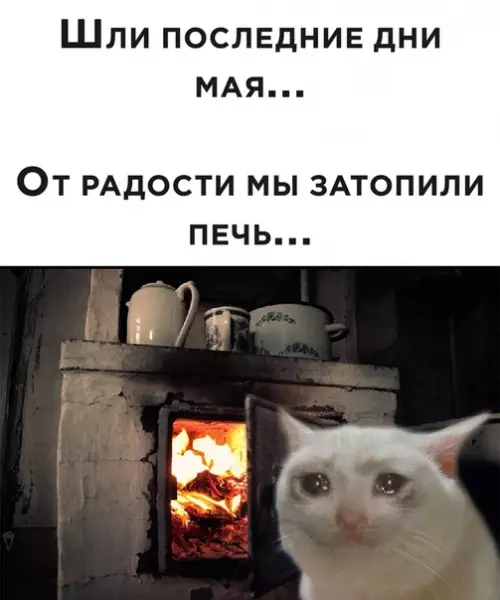 Смешная картинка №495998