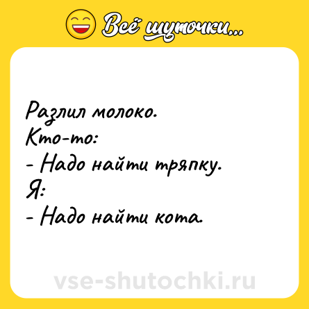 Шутка: Разлил молоко.<br>Кто-то:<br>- Надо найти тряпку.<br>Я:<br>- Надо найти кота.