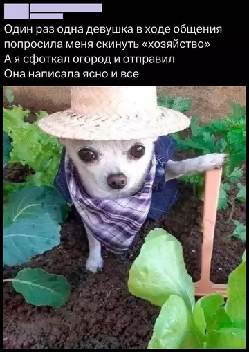 Смешная картинка №765048