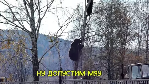 Смешная картинка №285839
