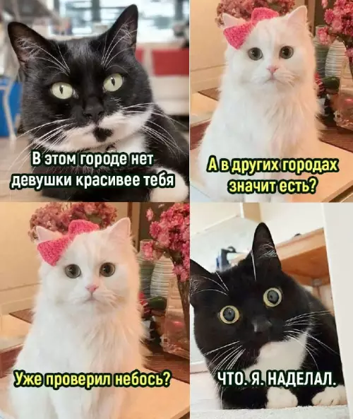 Смешная картинка №709507 девушки