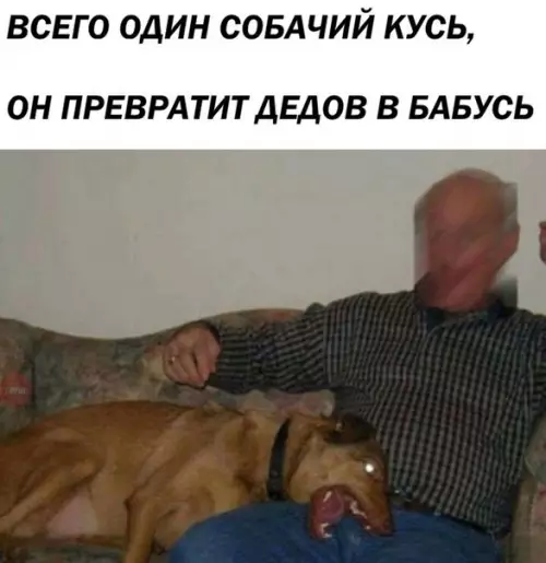 Смешная картинка №222159