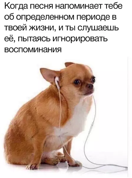 Смешная картинка №318827 Но стоит лишь дойти до припева и ностальгия победит!