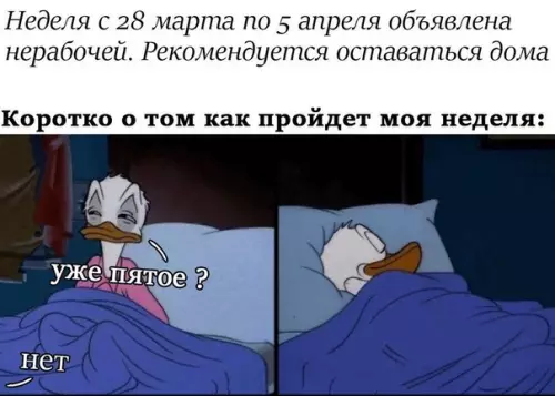 Смешная картинка №479880 Идеально.