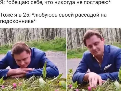Смешная картинка №568212