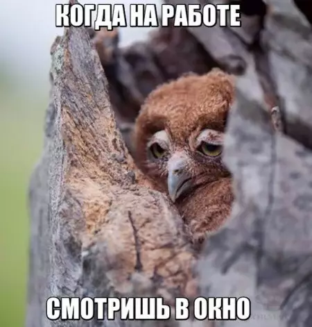 Смешная картинка №298319