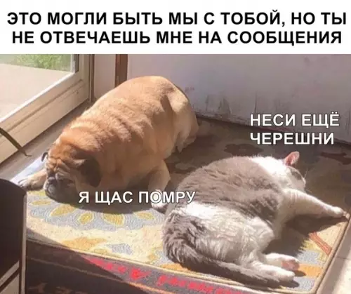 Смешная картинка №364529