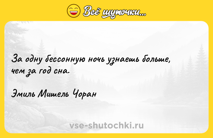 Цитата: За одну бессонную ночь узнаешь больше, чем за год сна.Эмиль Мишель Чоран