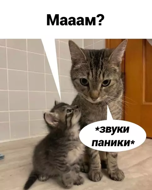 продолжение Смешная картинка №567521