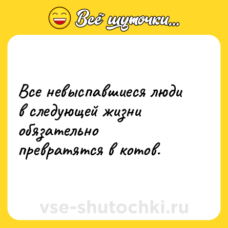 Шутка: Все невыспавшиеся люди в следующей жизни обязательно превратятся в котов.