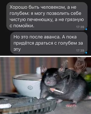 Смешная картинка №663128