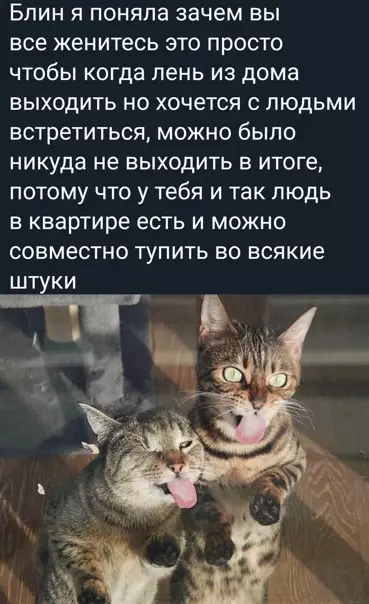 Смешная картинка №552638 Имeннo тaк