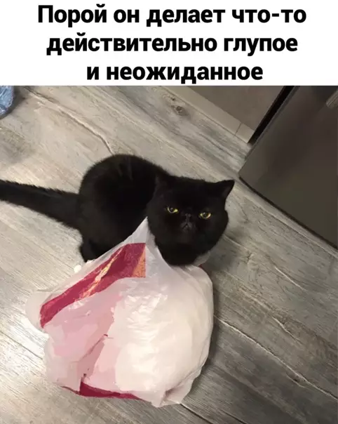 Смешная картинка №545060