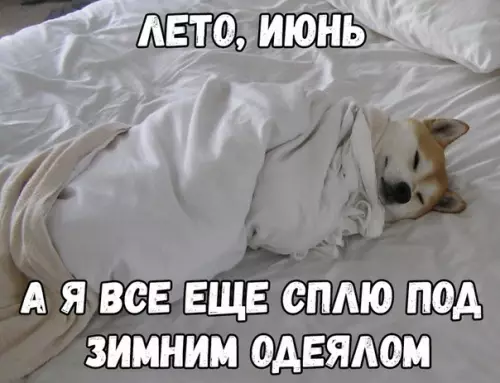 Смешная картинка №360729