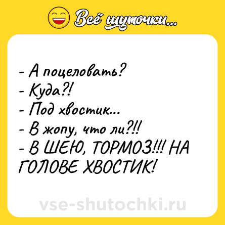 Шутка: - А поцеловать?<br>- Куда?!<br>- Под хвостик...<br>- В жопу, что ли?!!<br>- В ШЕЮ, ТОРМОЗ!!! НА ГОЛОВЕ ХВОСТИК!