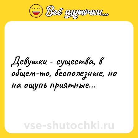 Шутка: Девушки - существа, в общем-то, бесполезные, но на ощупь приятные...