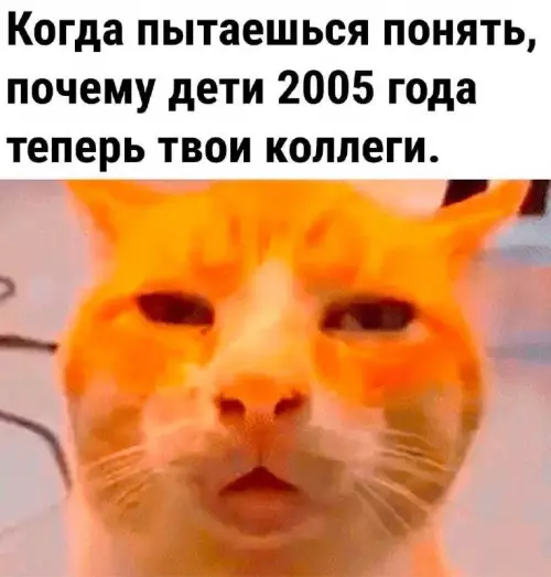 Когда дети 2005 года стали коллегами