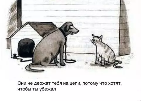 Смешная картинка №257975