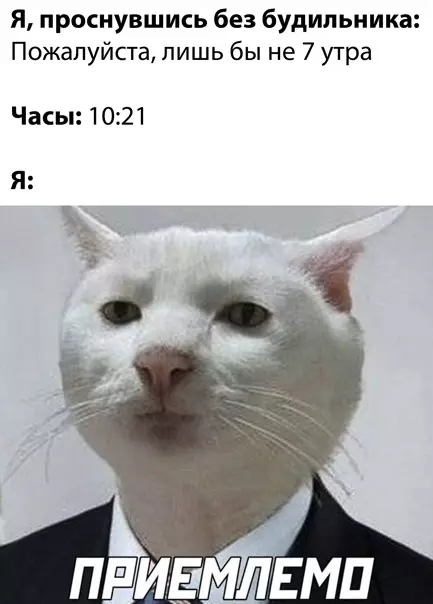 Смешная картинка №543282