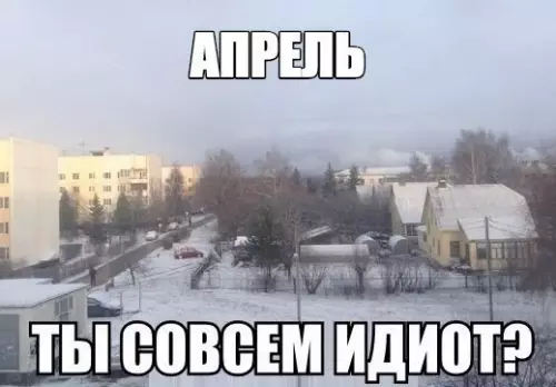 Смешная картинка №176700