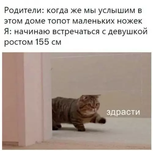 Смешная картинка №739581 Ну а что