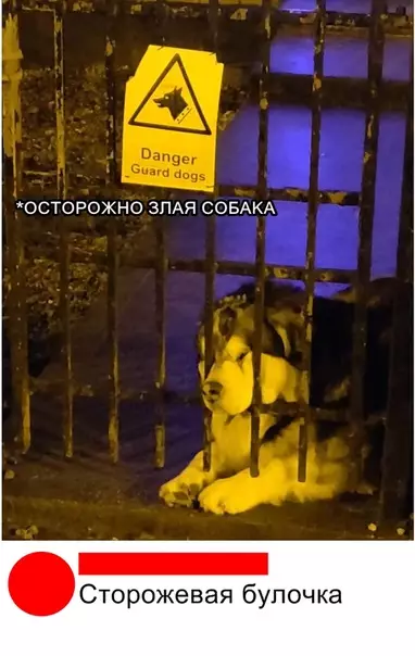 Смешная картинка №318322