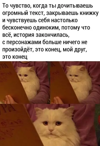 Смешная картинка №470868
