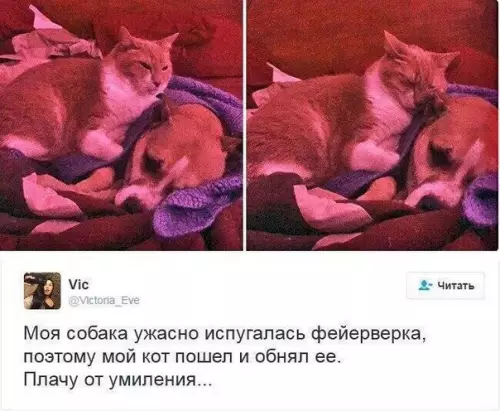 Смешная картинка №214011