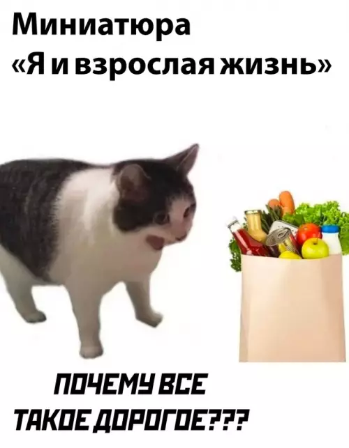 Смешная картинка №670288