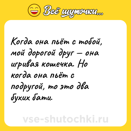 Шутка: Когда она пьёт с тобой, мой дорогой друг — она игривая кошечка. Но когда она пьёт с подругой, то это два бухих бати.