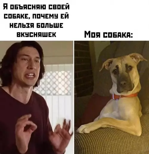 Смешная картинка №435961