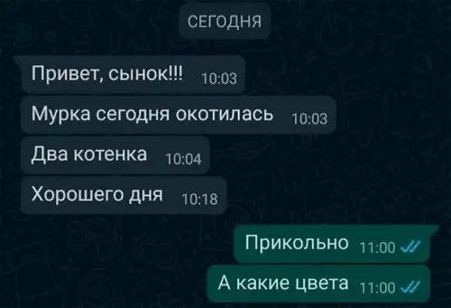 Смешная картинка №571217