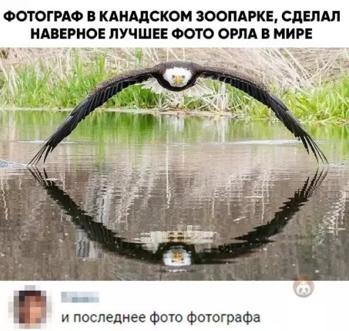 Смешная картинка №489834 Ох уж этот взгляд хищника...