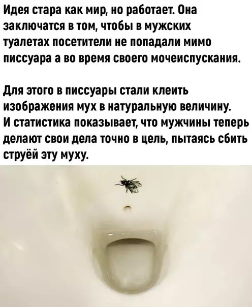 продолжение Смешная картинка №594307 Гениальное просто!