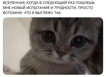 Смешная картинка №813443