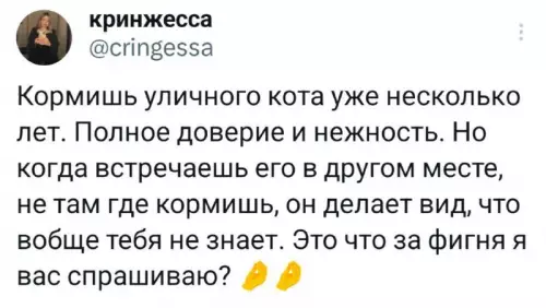 Смешная картинка №730986 Коты сами по себе коты