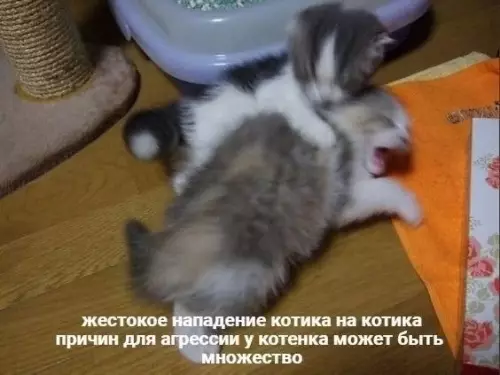Смешная картинка №716522