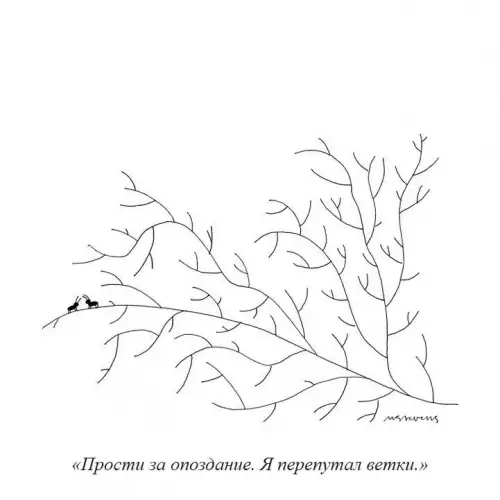 Когда запутался в жизни 🌳😂 - Прости за опоздание. Я перепутал ветки.