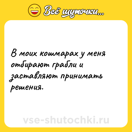 Шутка: В моих кошмарах у меня отбирают грабли и заставляют принимать решения.