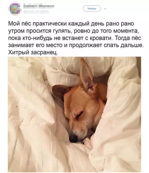Смешная картинка №491787 Сообразительный хороший мальчик.