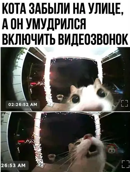 Смешная картинка №506505 Мааам, маааам, ну откроооой!